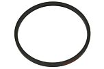 Dichtring Bremszylinder hinten/vorne