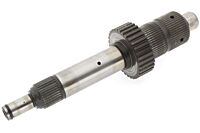 Hauptwelle NP218