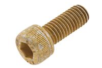 Schraube Riemenscheibe Wasserpumpe