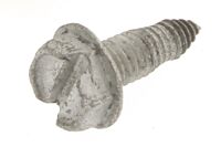 Schraube selbstschneidend (12mm lang)