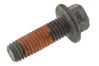 Schraube Simmerringhalter Eingang NP242