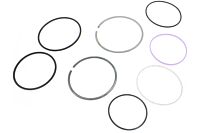 Dichtkit Lenkgetriebe (Kolben)