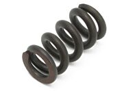 Feder für Standgasschraube