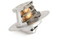 Thermostat 5.7l Benziner