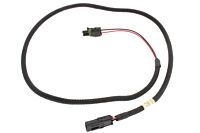 Kabelbaum Türverriegelung hinten