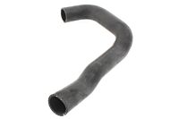 Kühlwasserschlauch Thermostatgehäuse - Wasserkühler