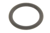 O-Ring Kühlmittelsensor
