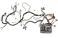 Kabelbaum Karosserie innen mit Sicherungsbox