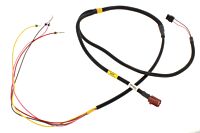 Kabelbaum Türe hinten links & rechts 04/06