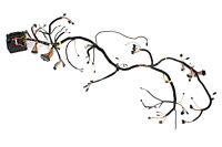 Kabelbaum Karosserie innen mit Sicherungsbox