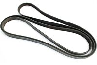 H1 Alpha Flachriemen