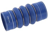 Verbindungsschlauch Rohr oben zu Unten (Alpha)