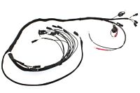 CTIS Kabelbaum neuste Ausführung