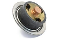Thermostat 6.5l