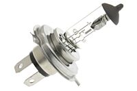 H4 Leuchtmittel 24V