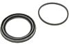 Dichtring und Manschette Bremssattel