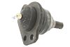 Ball Joint unten