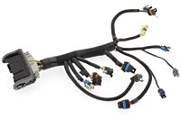 Motorkabelbaum H1
